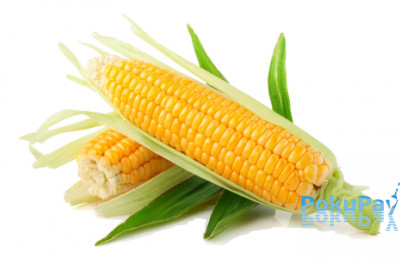 Бойли Grandcarp Long Soluble Amino POP-UP one-flavor Sweet Corn (Солодка кукурудза) 12mm 30шт (PUL055)