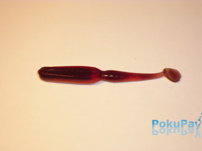 Aiko Desire (3.2 001) рыба